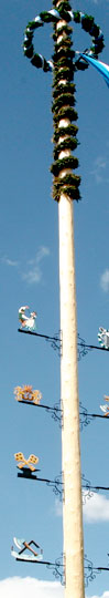 Maibaum in Rottach-Egern